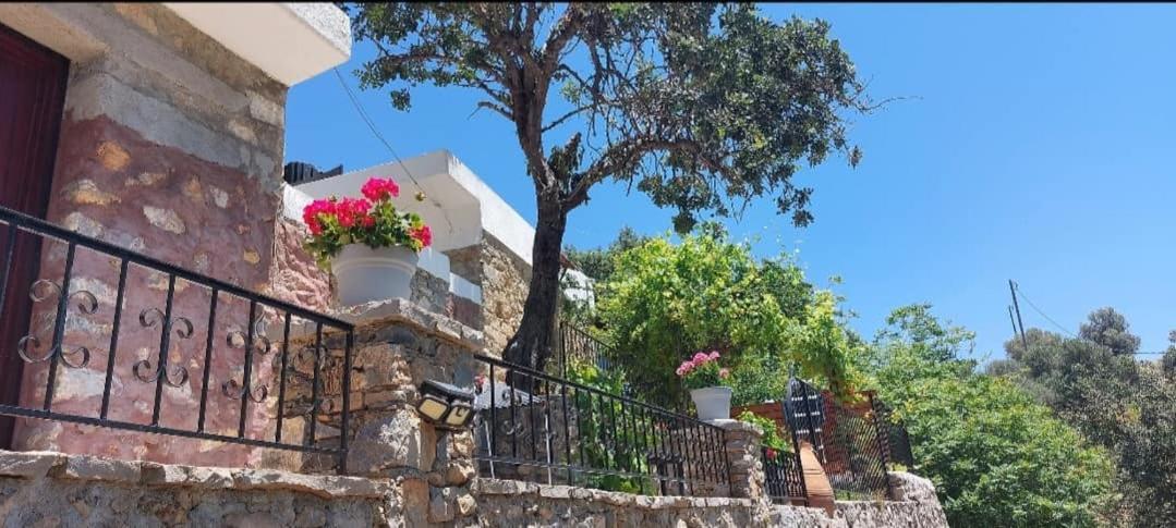 Villa Sarichel Nikithianos Exteriör bild