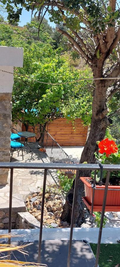 Villa Sarichel Nikithianos Exteriör bild